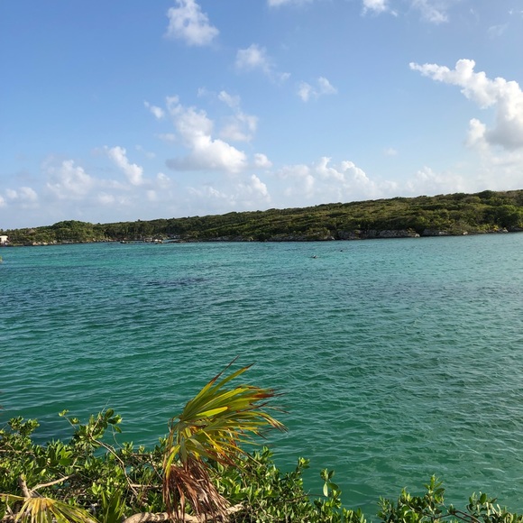 Meet your Posher, Gustavo - Picture 1 of 1